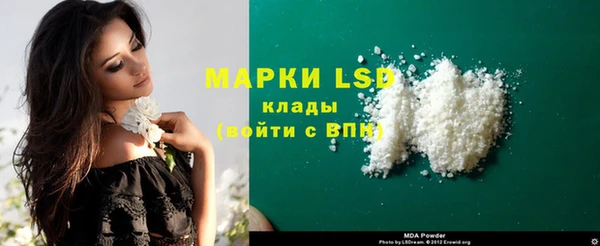 гидра Козловка
