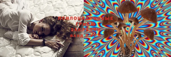 марки lsd Алексеевка