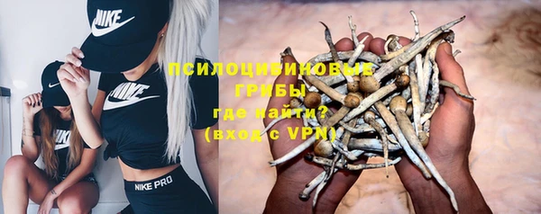 герыч Алексин