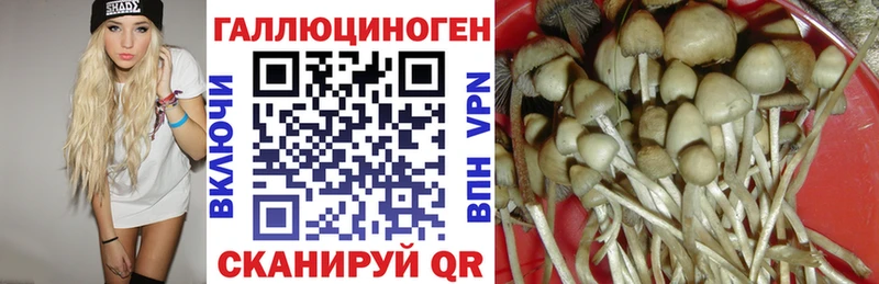 Галлюциногенные грибы GOLDEN TEACHER  Арамиль 