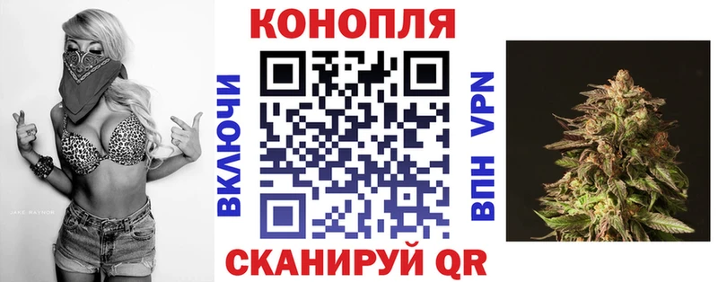 где найти наркотики  Арамиль  Конопля индика 